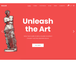 Haar Art Gallery WordPress Theme eCommerce