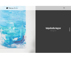 Visual Arts Gallery WordPress Theme