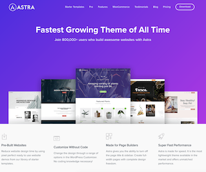 WP Astra Native AMP Theme